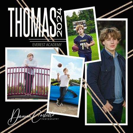 THOMAS Social Media collage