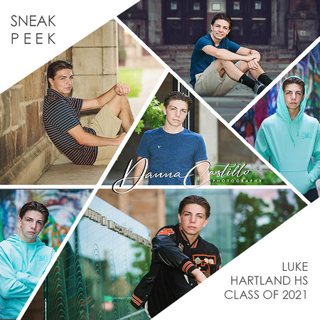 LUKE SNEAK PEEK COLLAGE