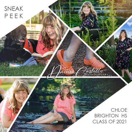 CHLOE Sneak Peek Collage