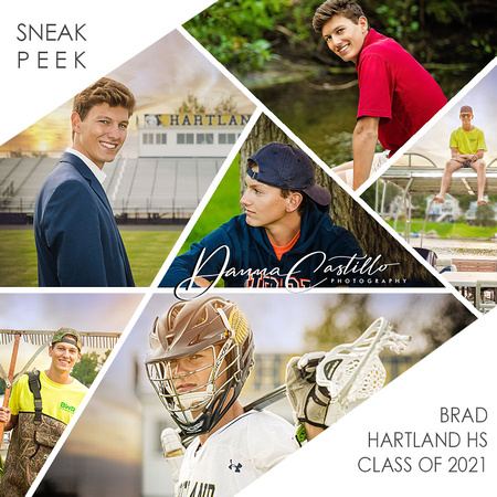 Brad SNEAK PEEK Collage