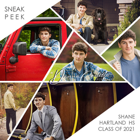 Shane SNEAK PEEK collage