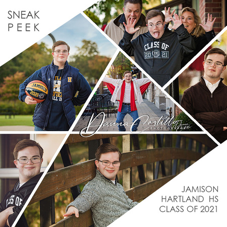 JAMISON SNEAK PEEK collage