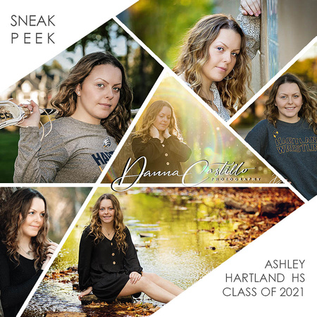 Ashley K SNEAK PEEK collage