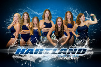 Hartland Swim and Dive